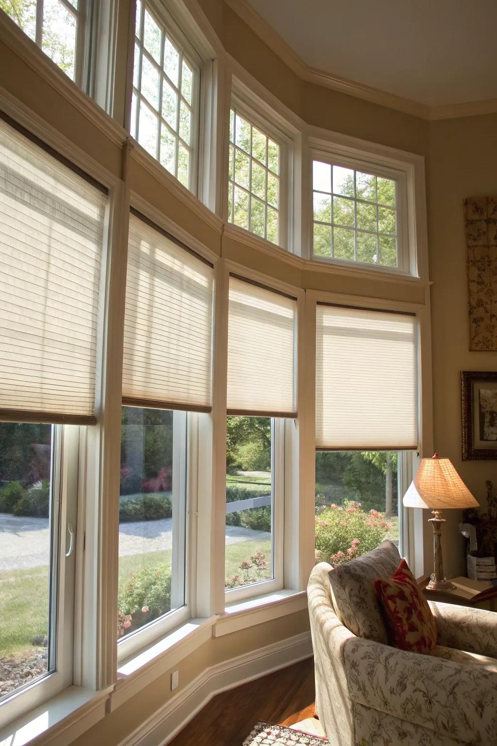 Dual-Action window solutions provide ultimate adaptability.