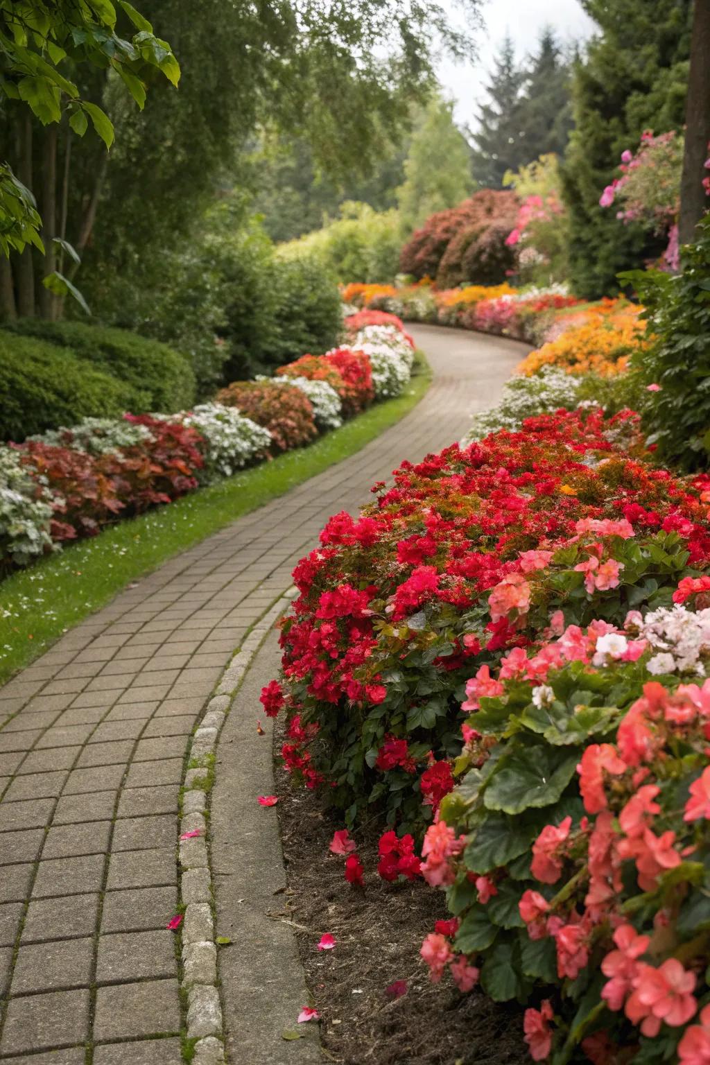 Begonia-edged pathways add structure and visual appeal.