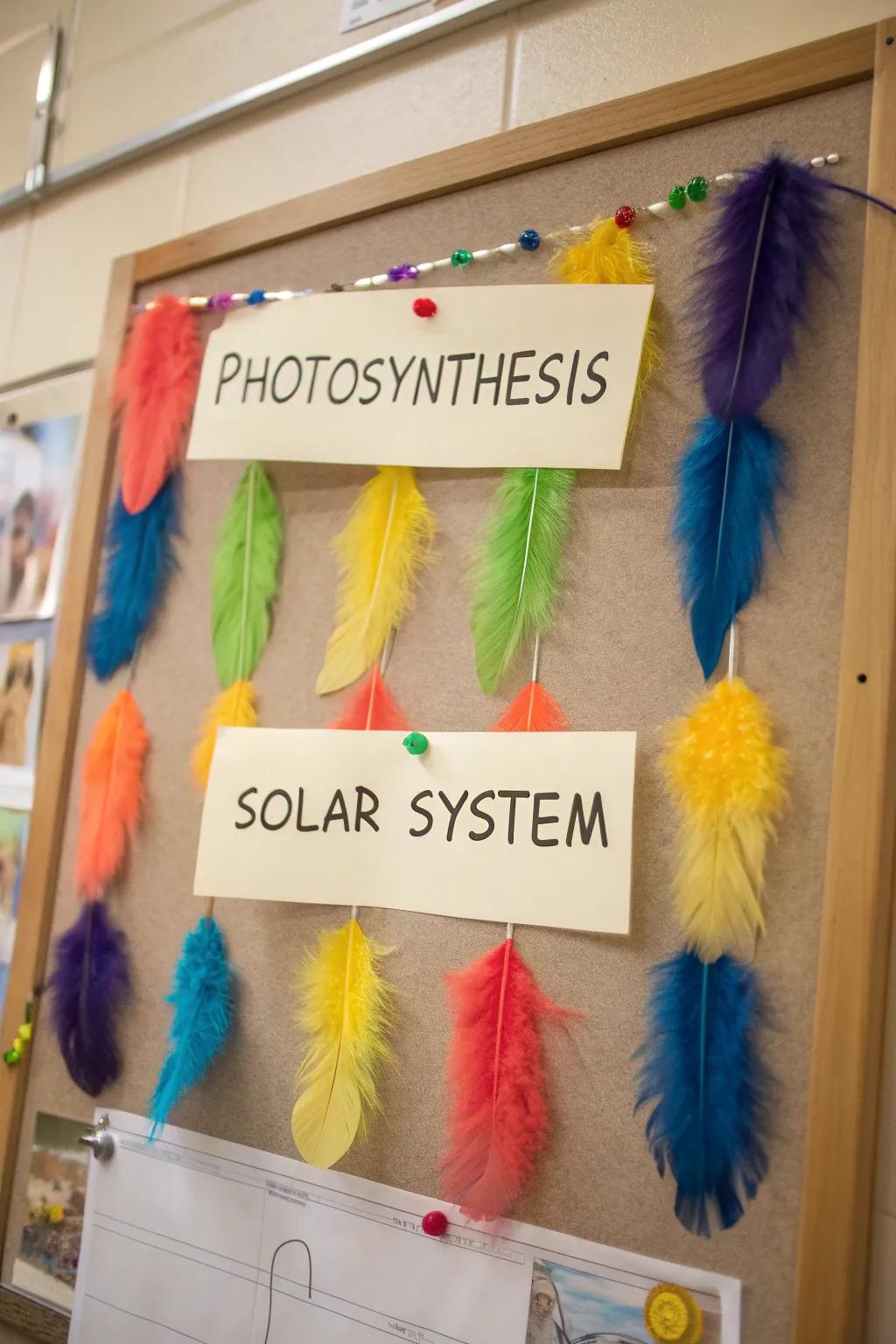 Feathered Mates showing a month's worth of learning.