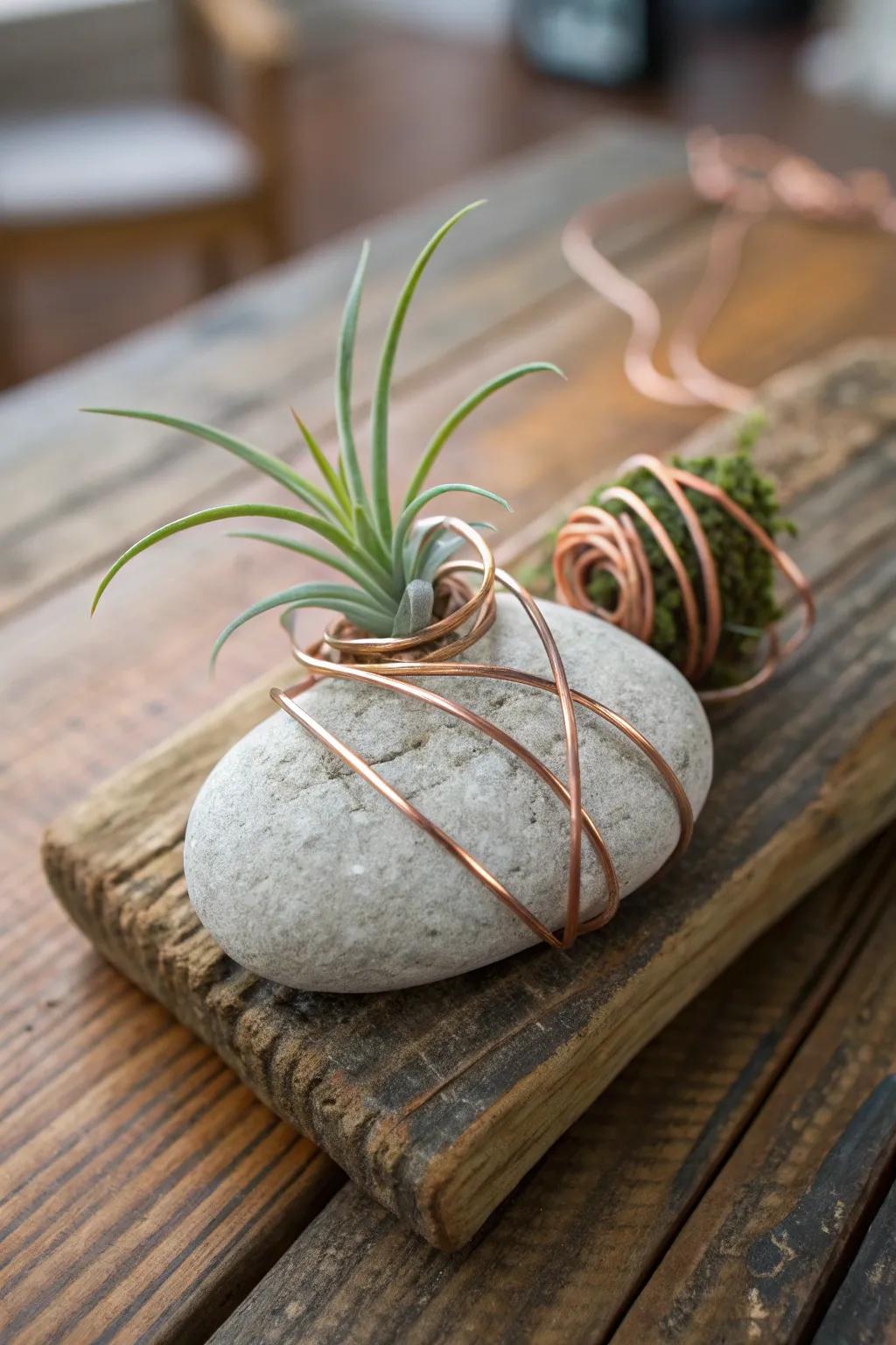 Stones and wire mix for a unique and all-natural air plant holder.