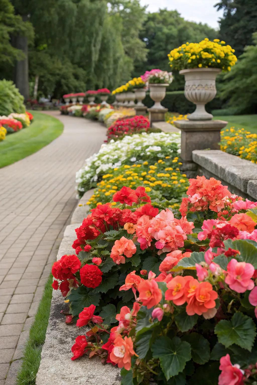 Seasonal begonia displays assure all-year garden interest.