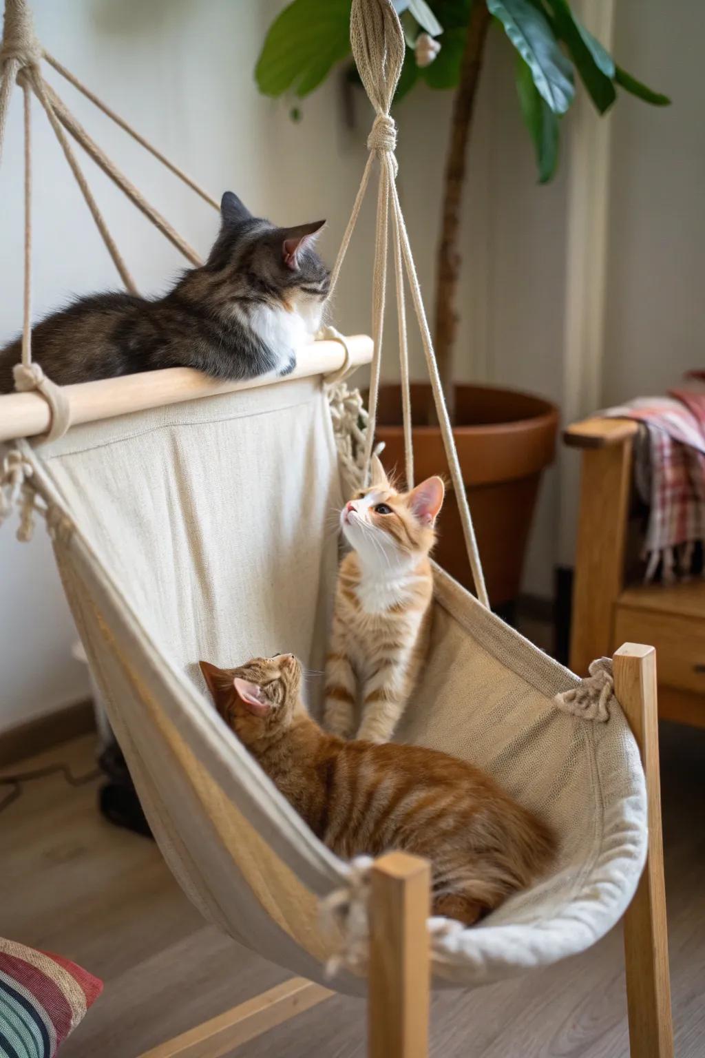 A DIY hanging haven under a chair, impeccable for a cat’s swinging lounge.