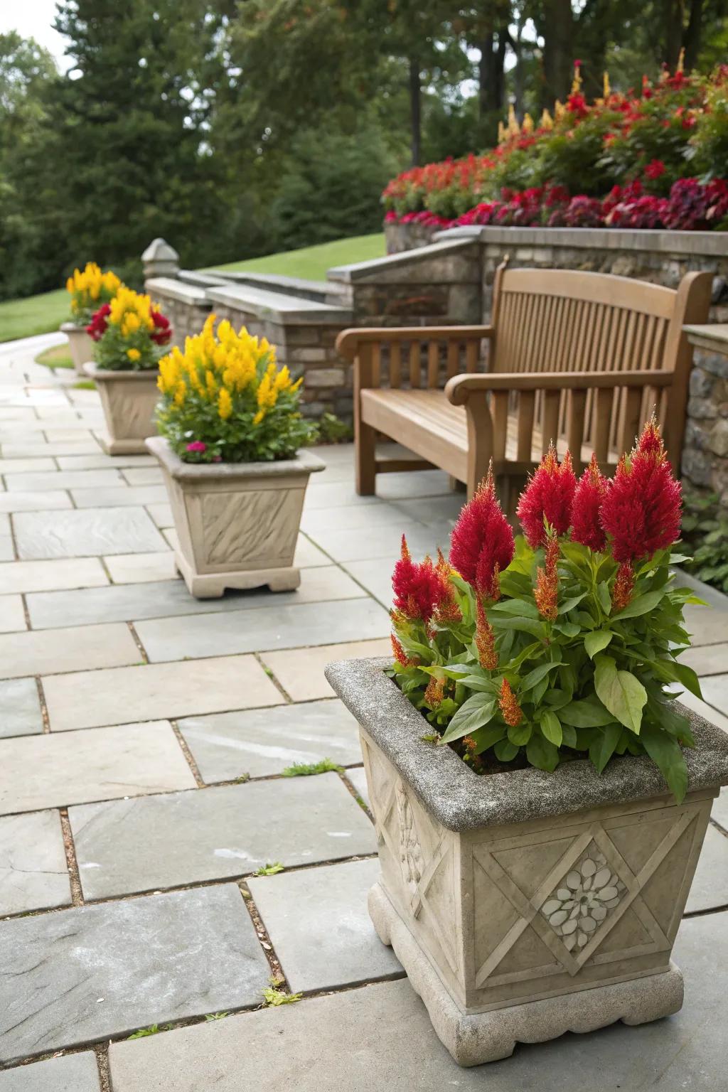 Natural stone planters infuse elegance into Featherbloom arrangements.