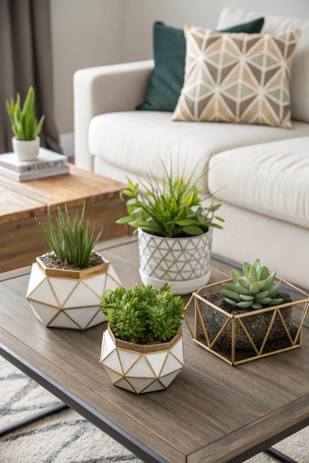 Geometric containers provide a modern flair to your coffee table aesthetic.