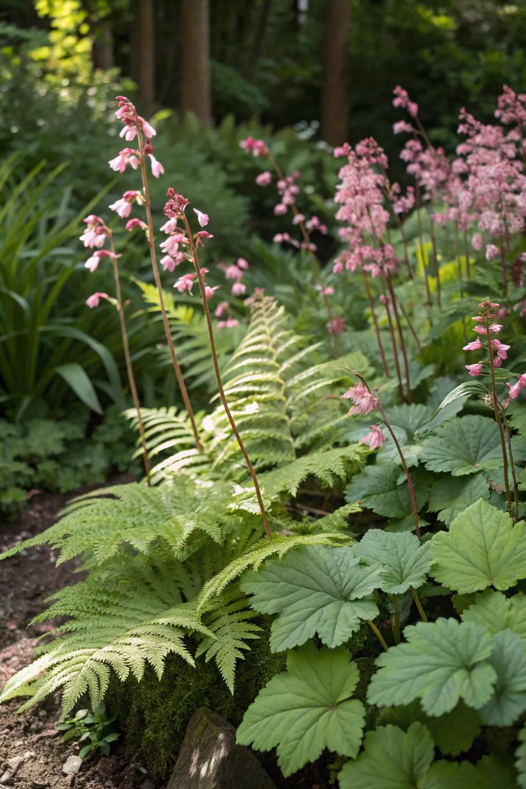 Huecheras and ferns blend to form a rich and textured garden design.