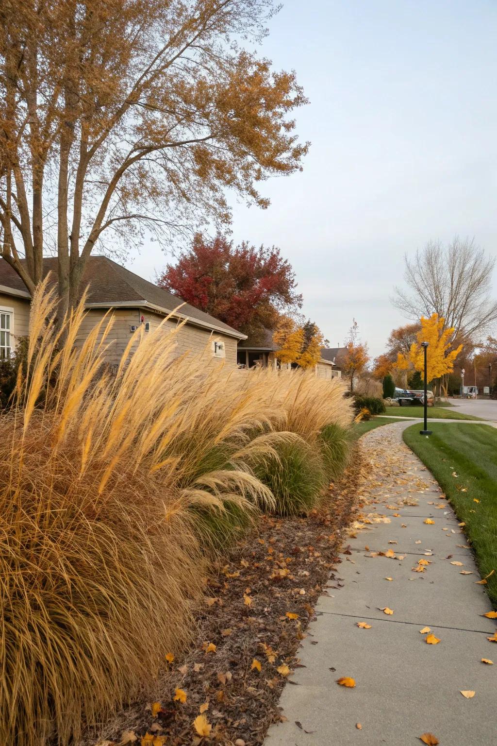 Enhance texture using ornamental grasses in your space.