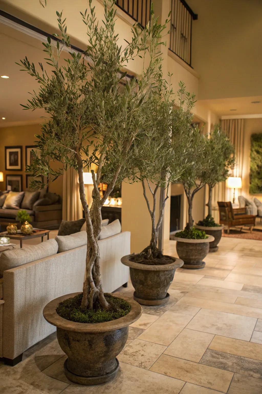 Employ tiered heights to enrich your d&eacute;cor with faux olive trees.