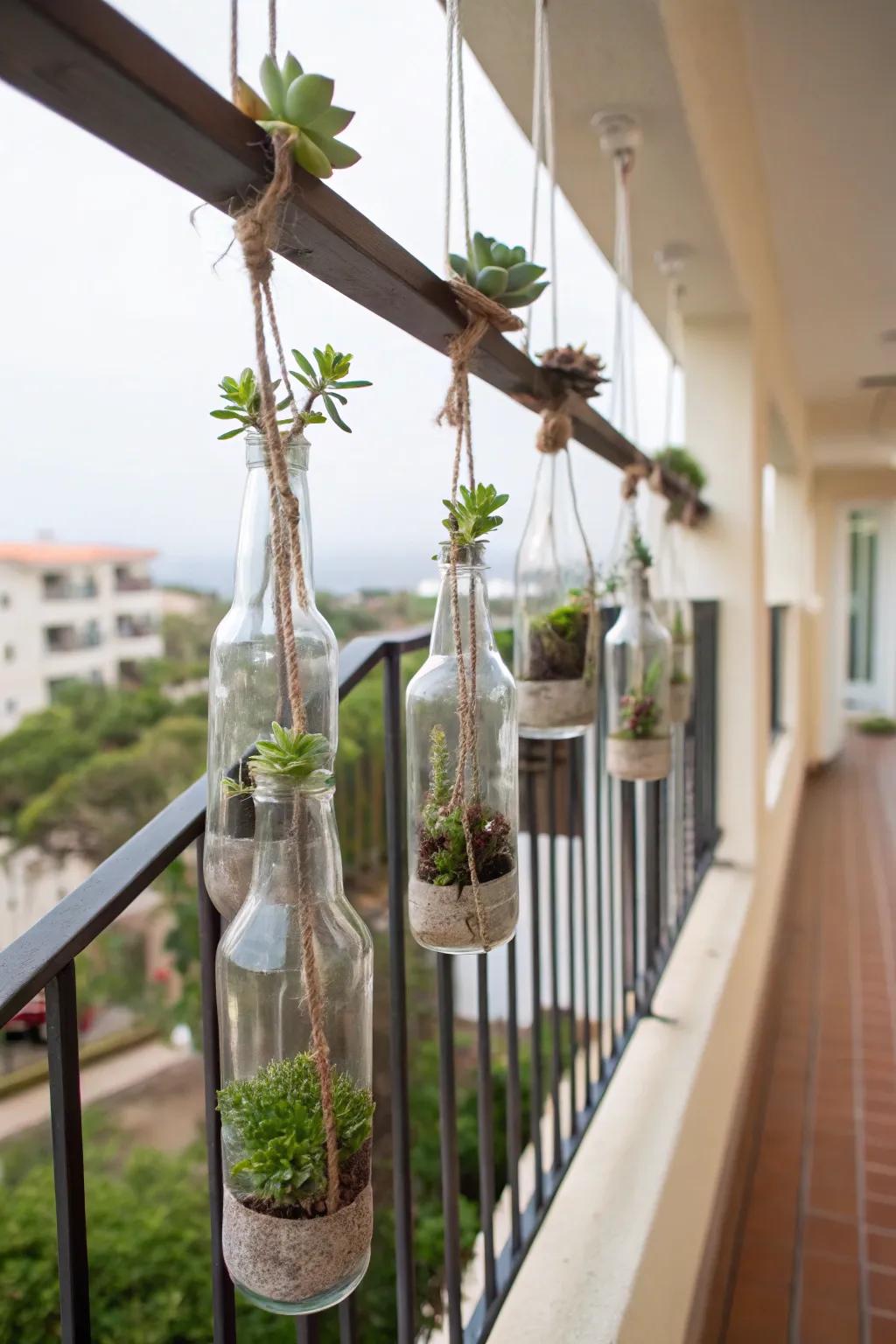 Hanging bottle gardens providing a vertical green display.