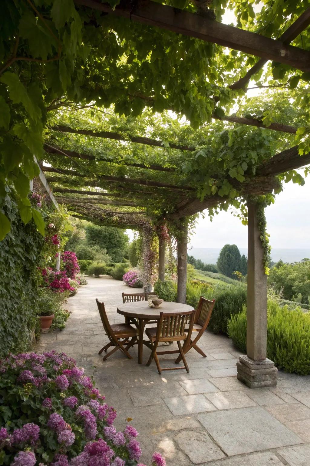 Maintain coolness with elegant and natural shade methods.