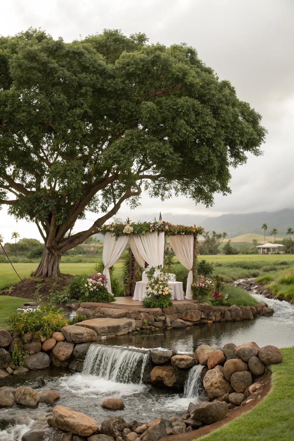 Embrace organic elements to ensure a smooth open-air wedding.