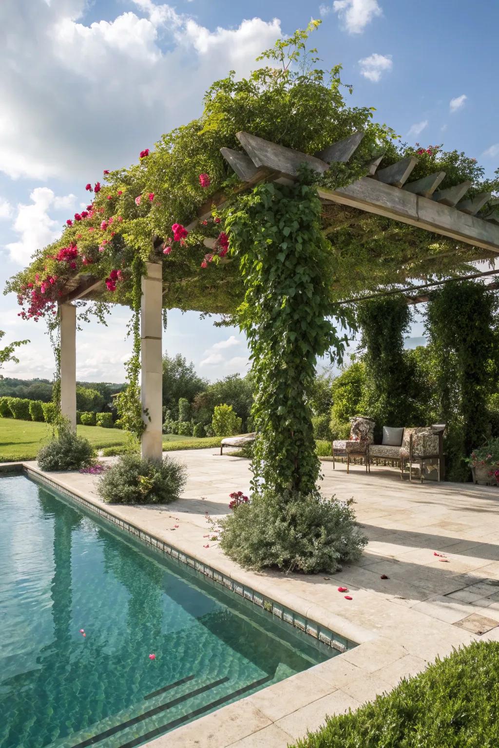 Add sophistication and protection using a pergola.