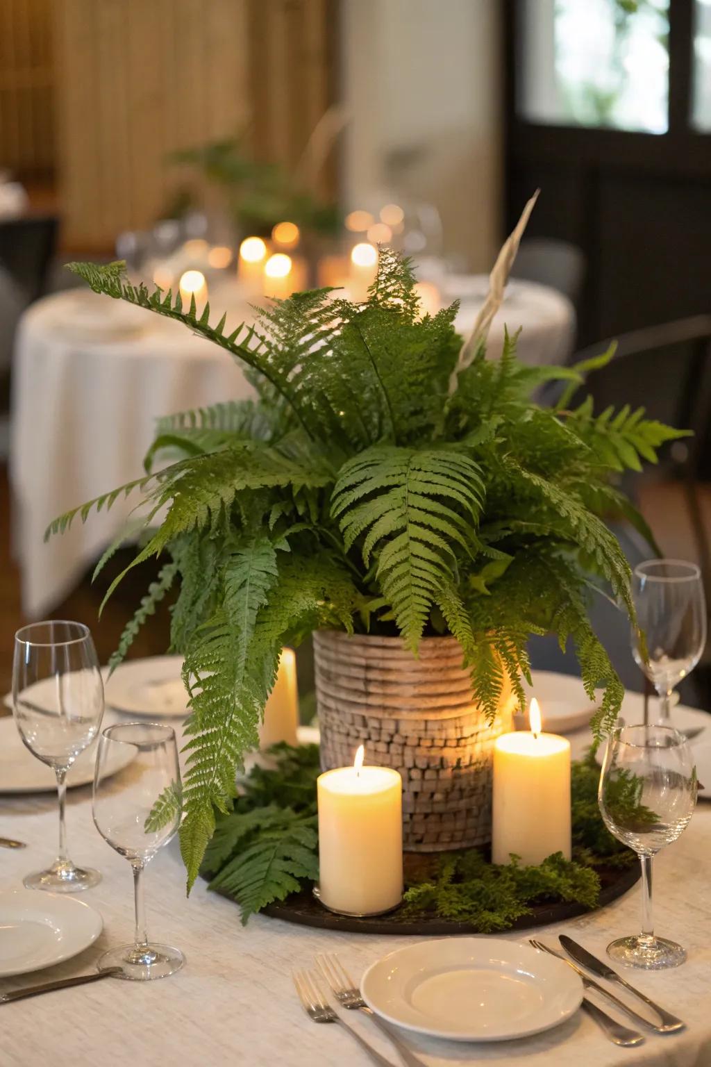 With a breathtaking plant centerpiece, enhance your dining experience.