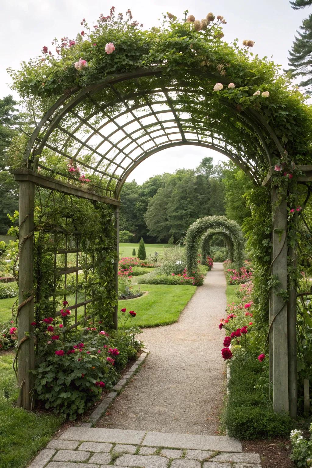 Frame your garden entrance using a grand arched bower trellis.