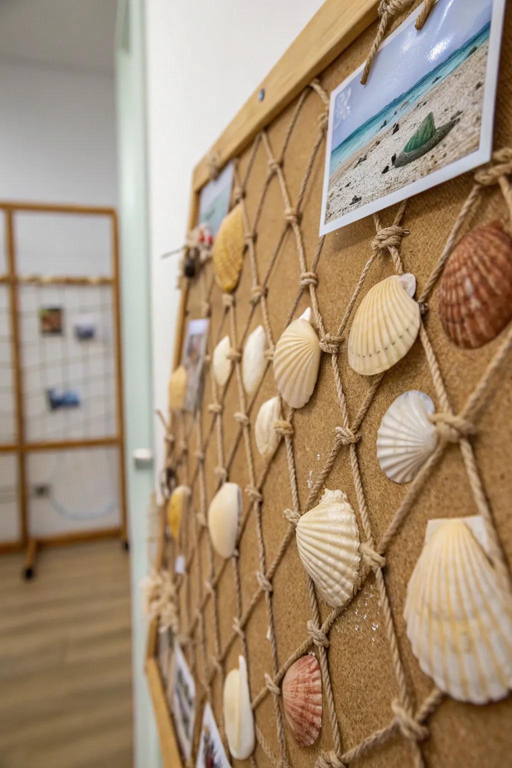 Capture the essence of the beach with a seashell showcase.