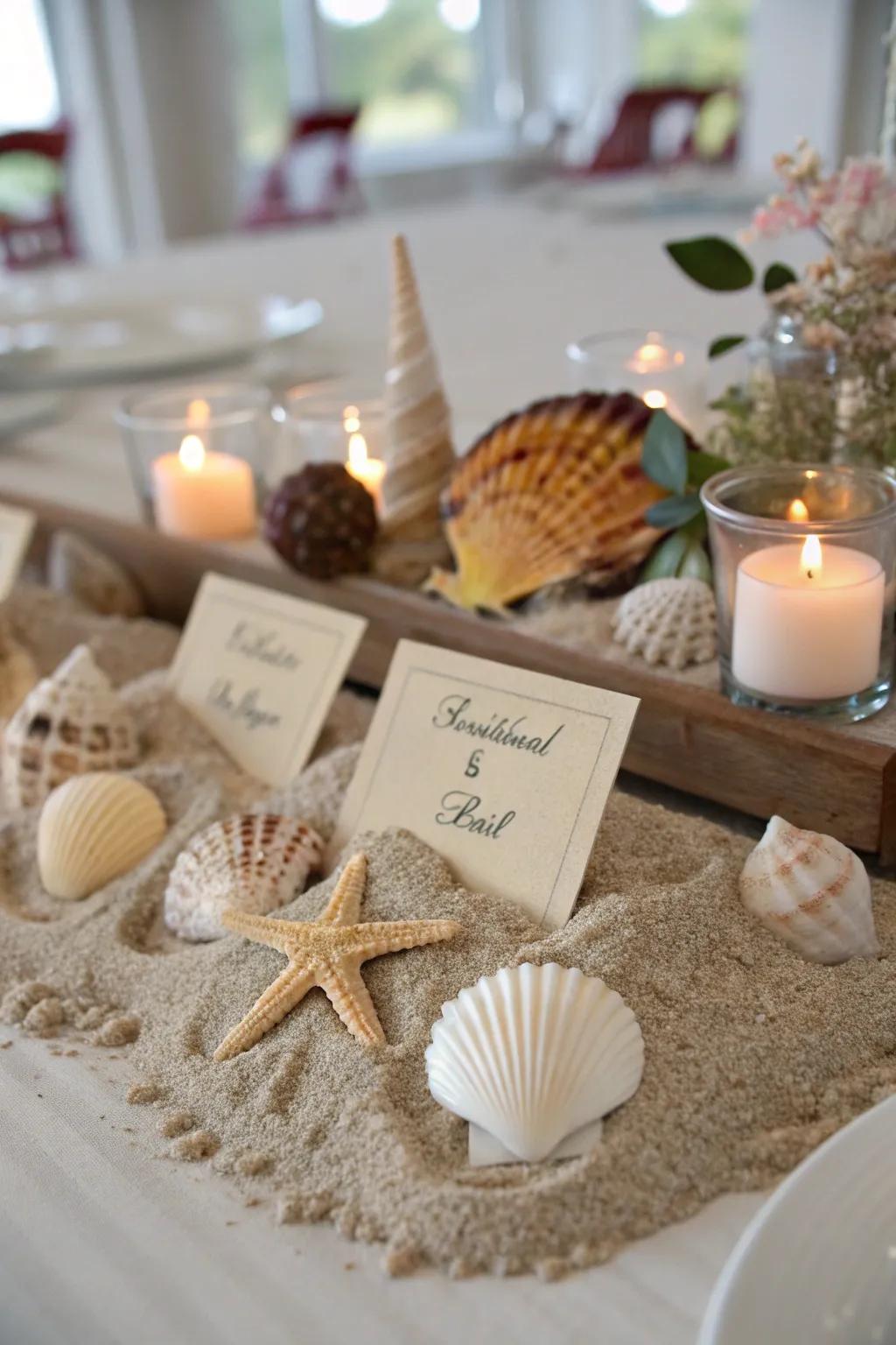Natural shell stands bring a touch of coastal charm to any scene.