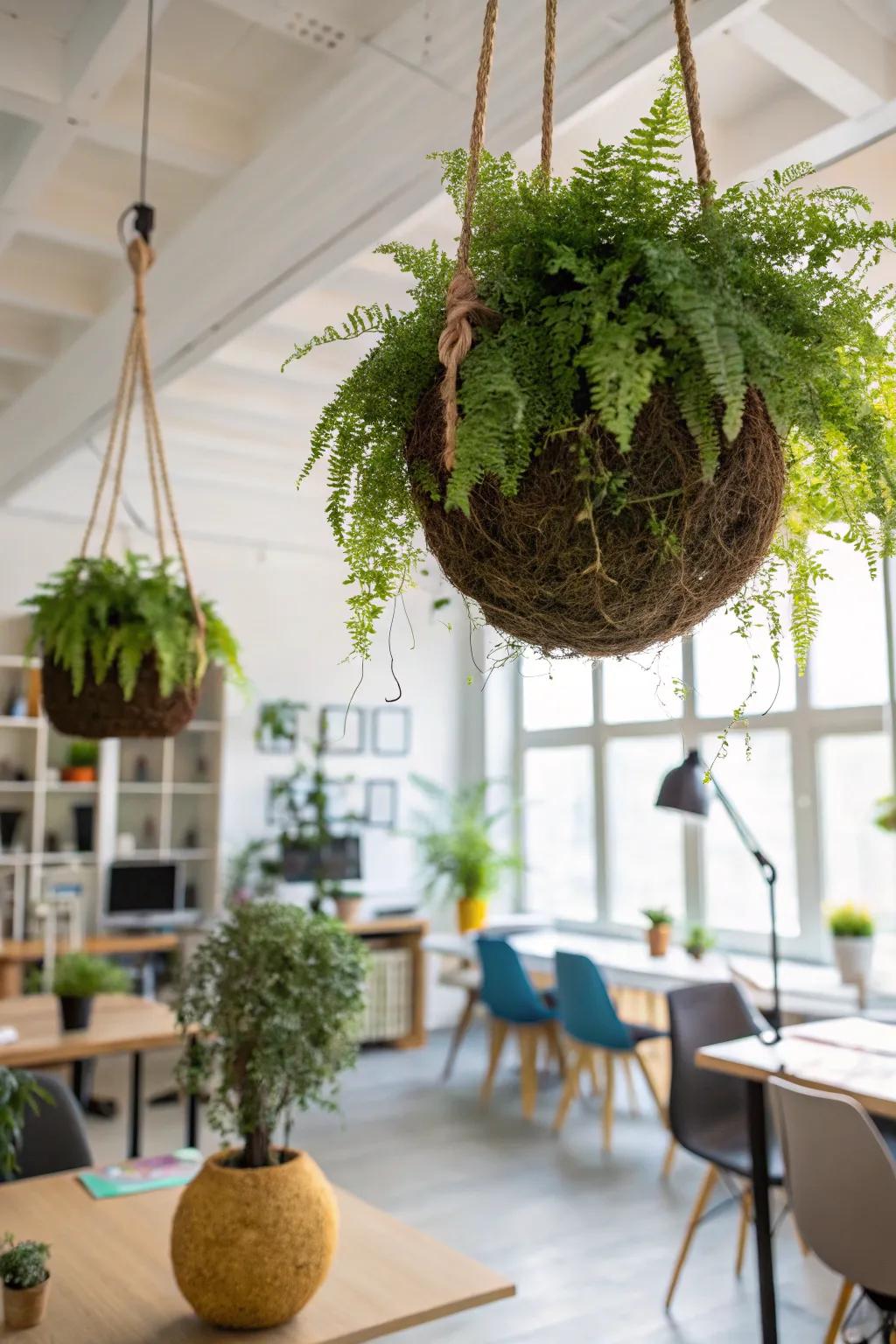 Engage guests with hanging kokedama.