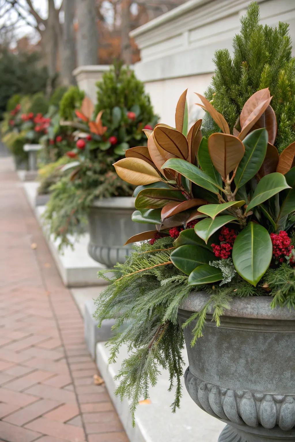 Magnolia foliage proffers a singular and sophisticated flair.