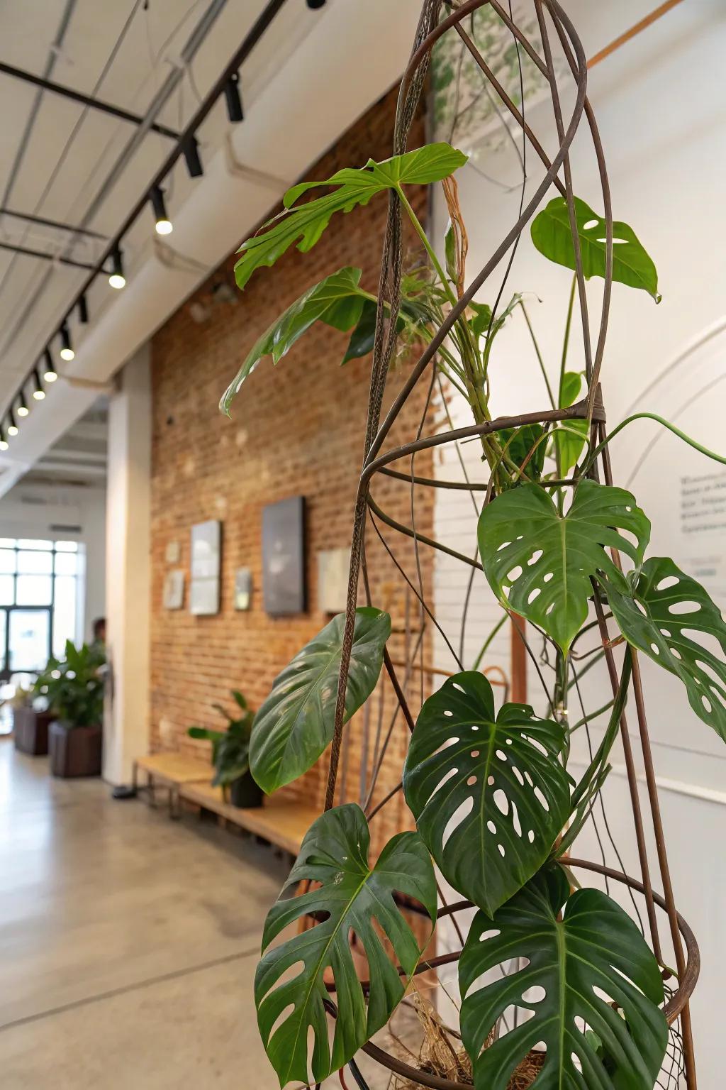 Let your creativity flow with custom wire designs