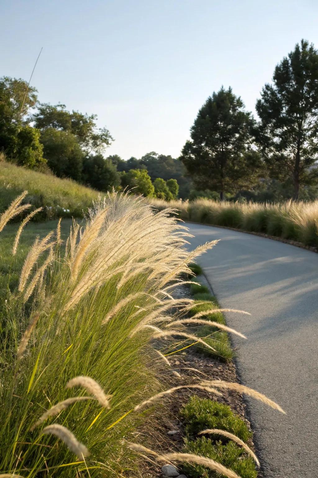 Decorative prairie grass adds movement and softness to the berm.