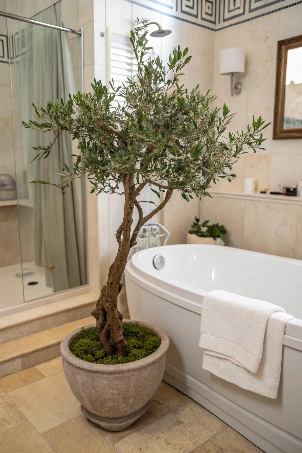 Bring peace to your bathroom with a faux olive tree.