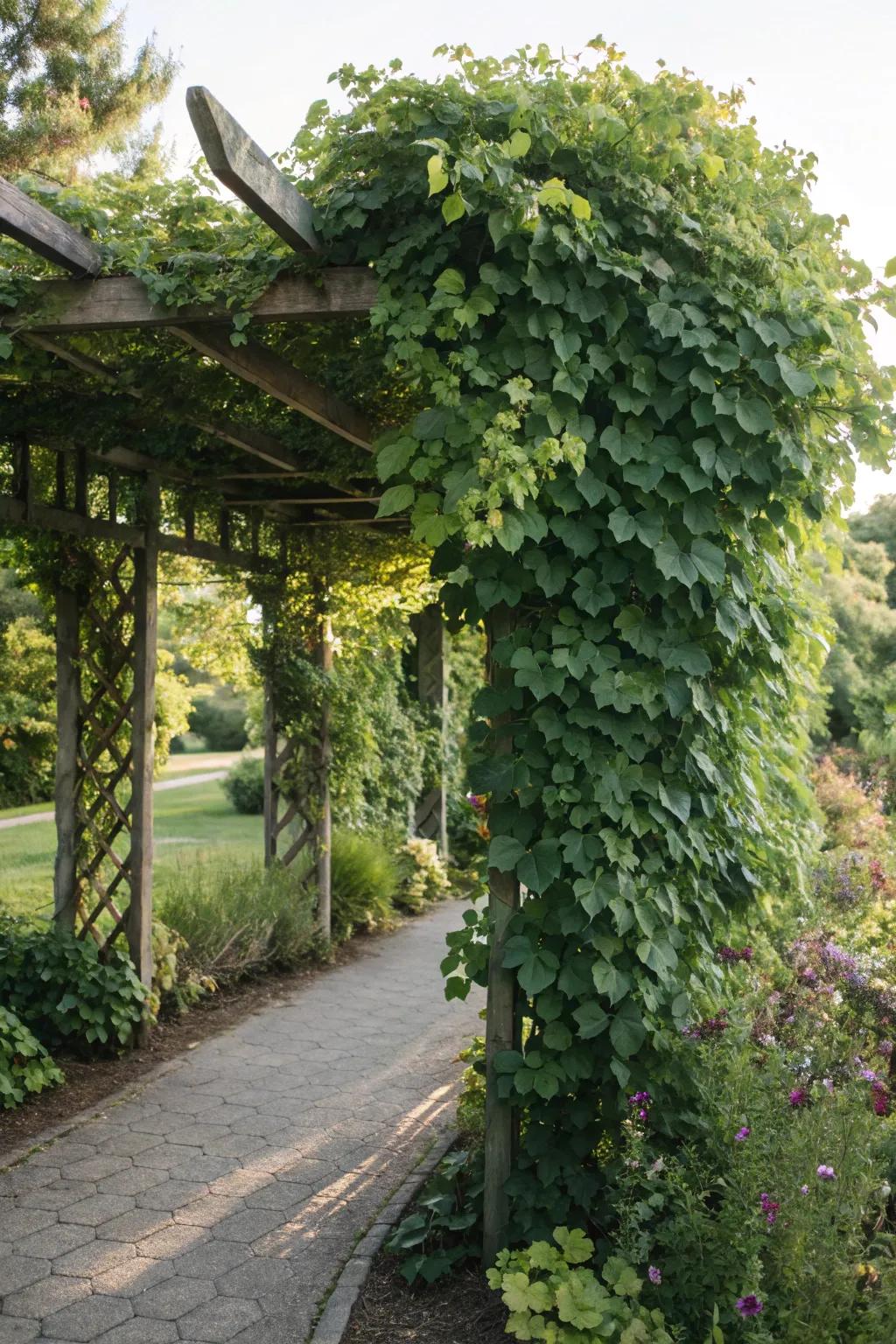 A greenery wall support offers seclusion and a lush green backdrop.