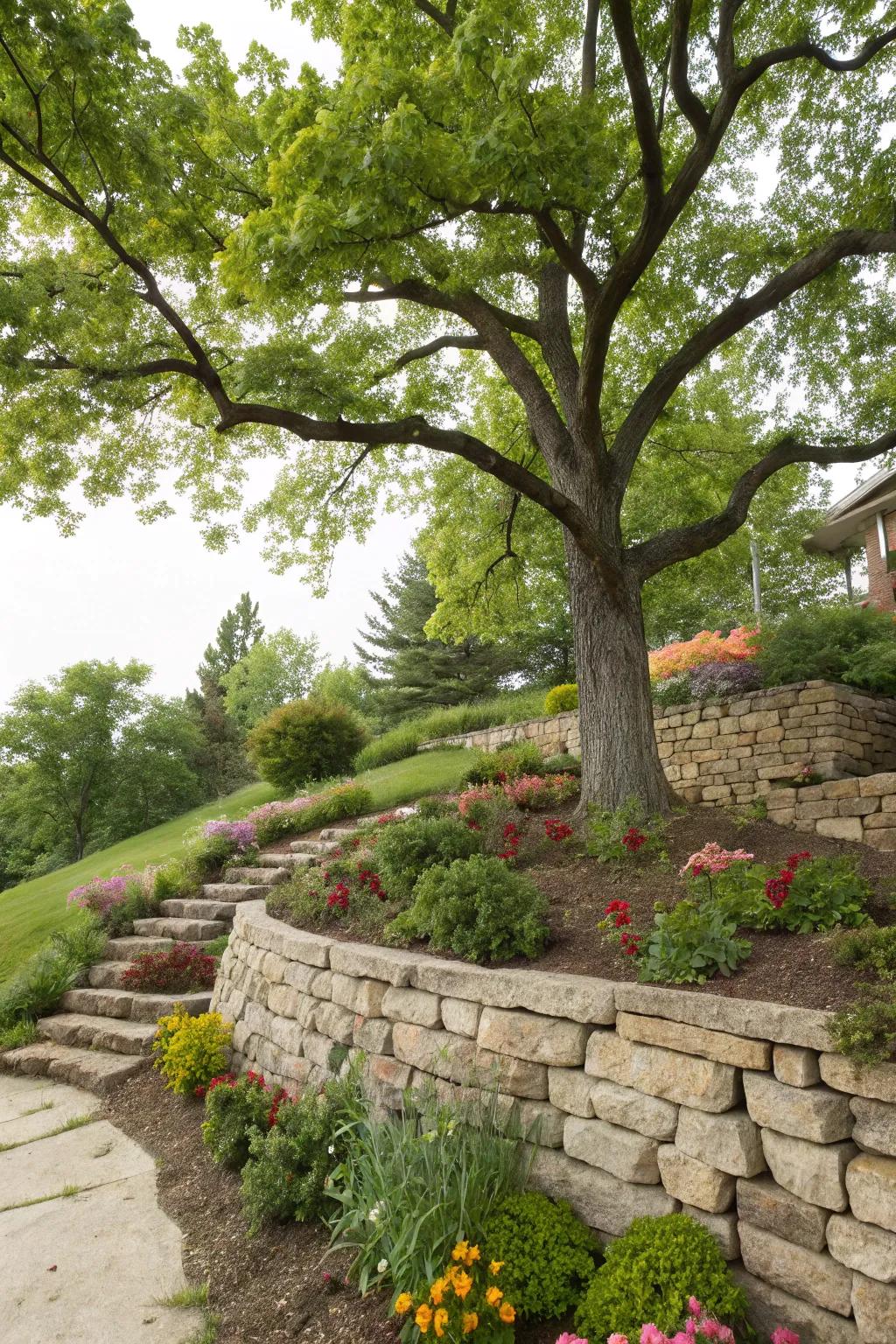 Retaining walls add structure and prevent erosion around trees.