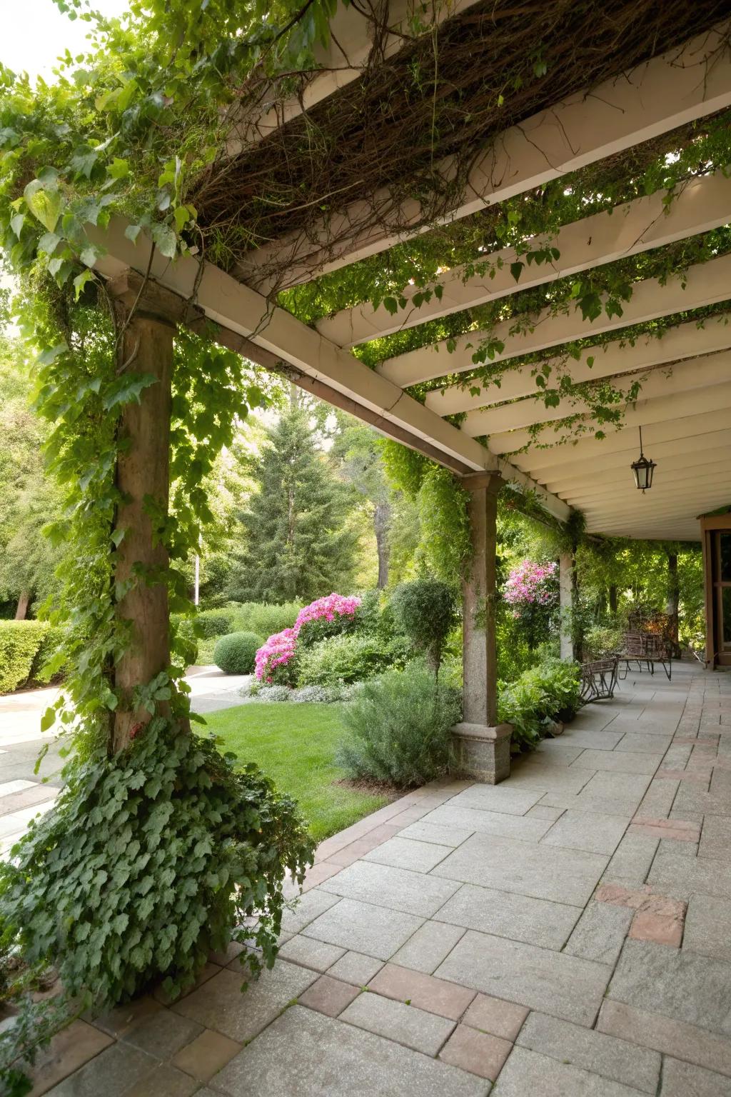 Plant integration adds natural beauty to patio covers.