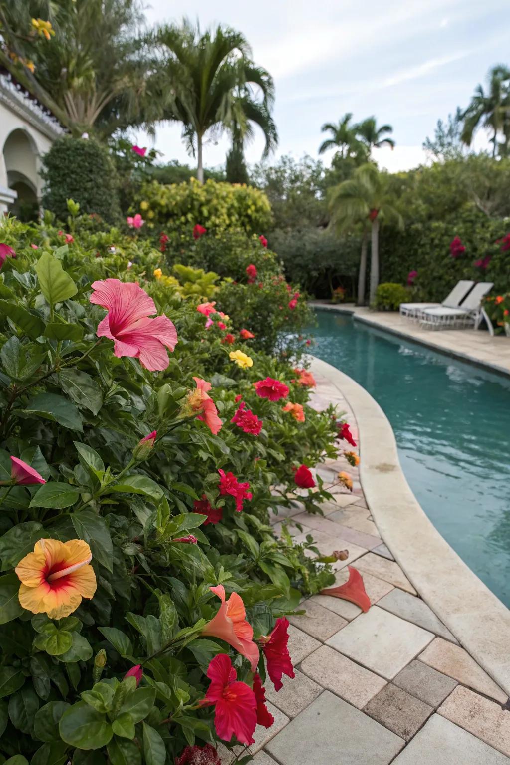 Brighten up your pool area with vibrant flower borders.