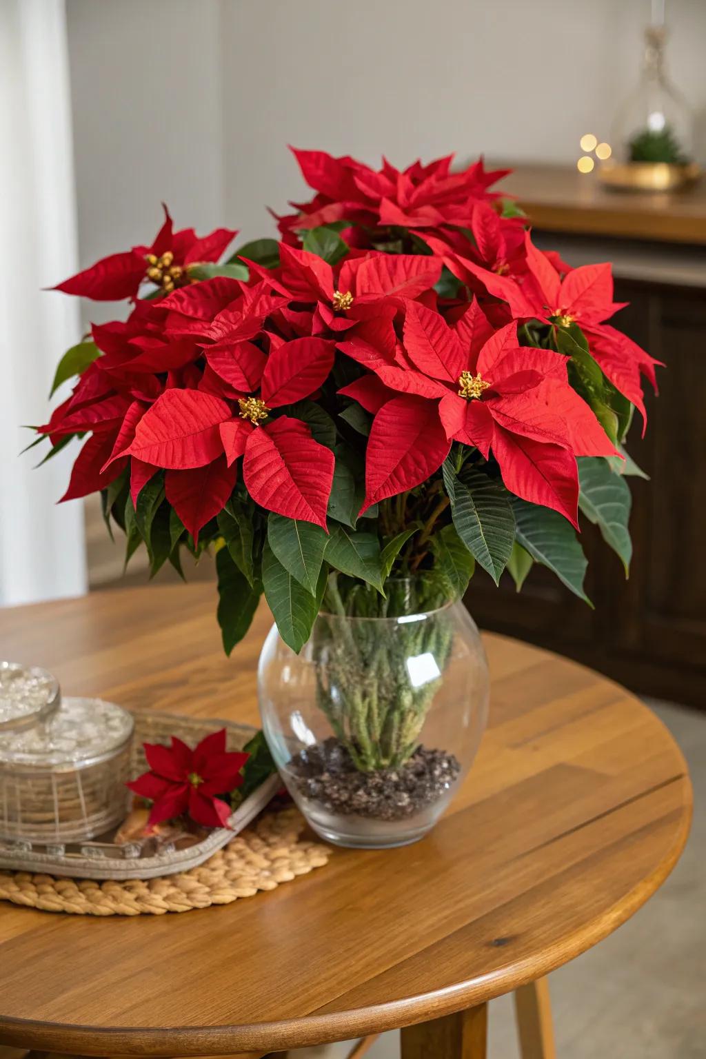 Elegant scarlet botanical compositions for the holidays.