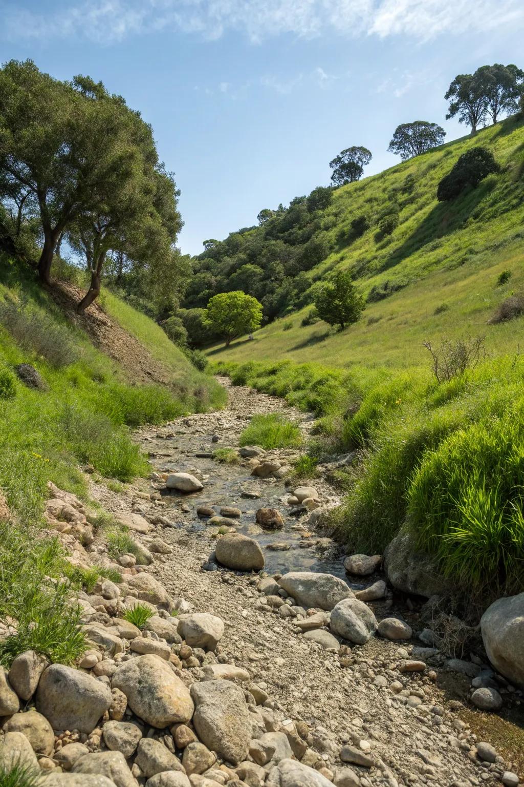 Dry creek beds blend practicality with natural elegance.