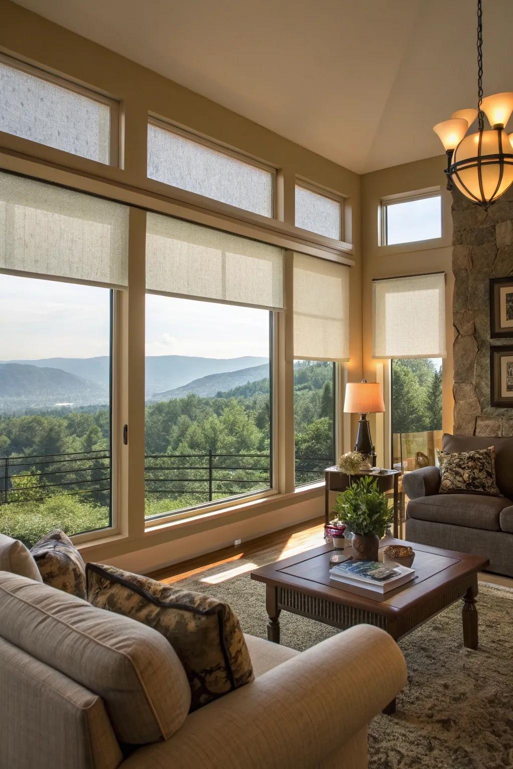 Sun filter coverings protect from UV rays while preserving views.