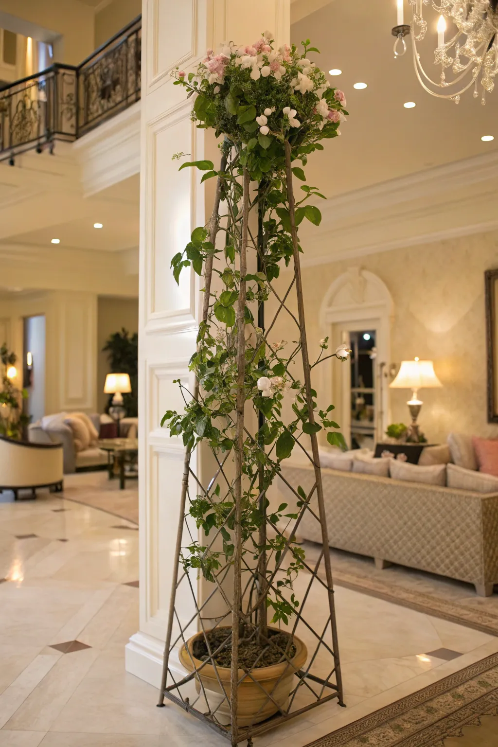 Modern Design Concepts for Hoya Plant Trellises